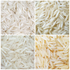 Rice Export