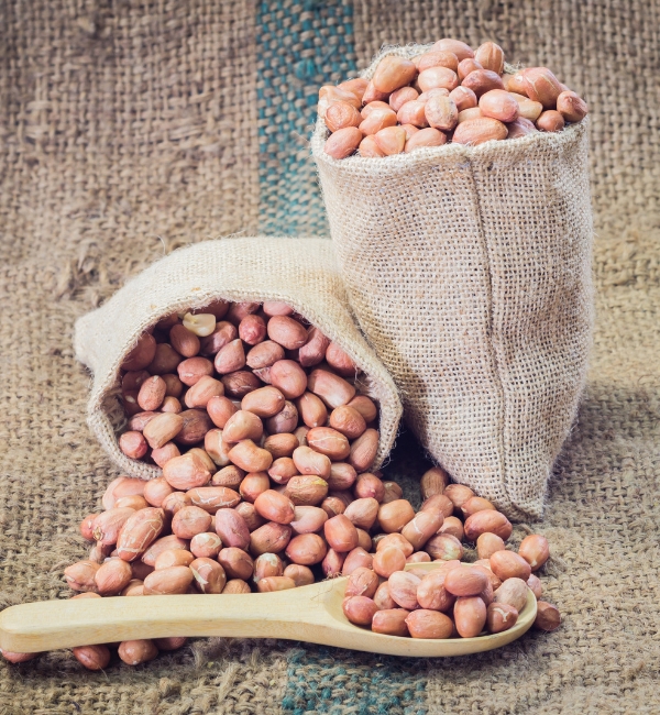 Ground Nut Exporters